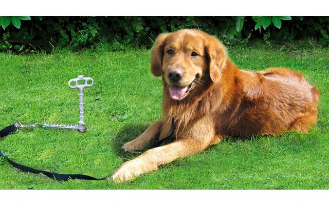 Peggy Peg Anleinehalterung PetPeg Für Tiere 1 Peggy Peg Anleinehalterung PetPeg Für Tiere