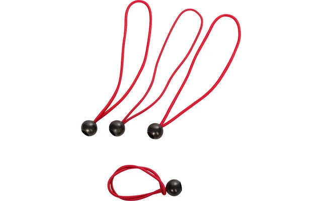 HP Anhänger-Planenspanner 25 Cm 4 Stück 1 HP Anhänger-Planenspanner 25 Cm 4 Stück