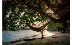 Amazonas Hängematte Moskito-Traveller Extreme Schwarz -Dometic Verkaufsgeschäft 505443 3457953