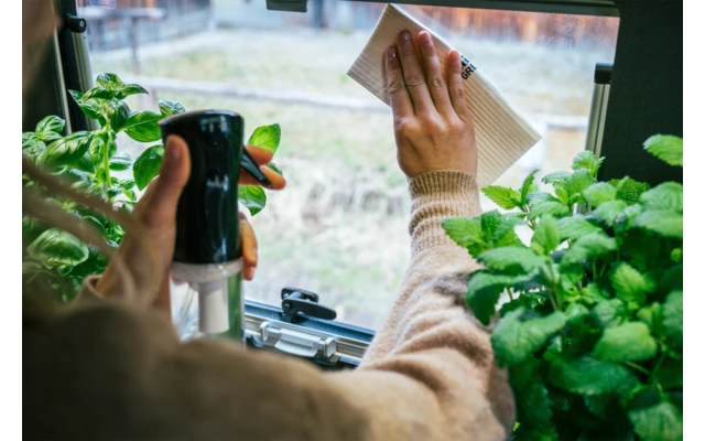 MikiGREEN Öko.Schwamm.Tücher 2er-Pack 4 MikiGREEN Öko.Schwamm.Tücher 2er-Pack – Bild 4