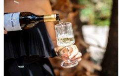 Berger Weinglas 2er Set -Dometic Verkaufsgeschäft 594239 4331207