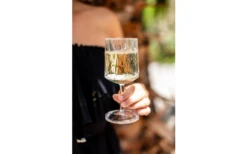 Berger Weinglas 2er Set -Dometic Verkaufsgeschäft 690069 4697631