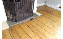 Swissinno Connect Super Cat Fangalarm Fangmelder Mit Bluetooth -Dometic Verkaufsgeschäft 729803 5025846