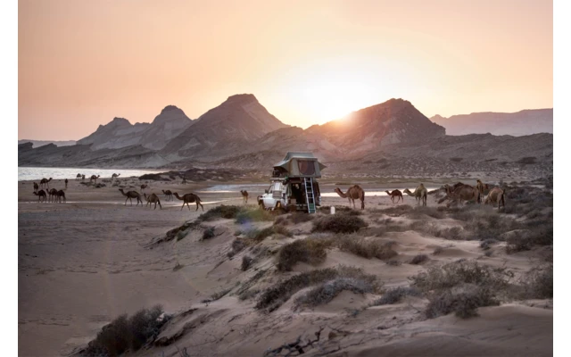 Gordigear Dachzelt Für 2 Personen Mit Staufläche 140 X 240 Cm Grün 7 Gordigear Dachzelt Für 2 Personen Mit Staufläche 140 X 240 Cm Grün – Bild 7