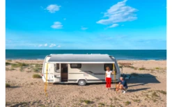 Fiamma F80s 290 Markise Gehäusefarbe Polar White Tuchfarbe Royal Grey 290 Cm -Dometic Verkaufsgeschäft 809945 5288006